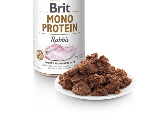 ae91072ca89d8d9b243a2f66dc6a5fb6