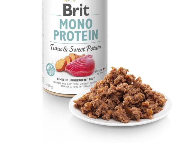 dbec89dab164b599824a6bbd86626110