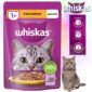 Whiskas szaszetka junior z kurczakiem 85g - obrazek 1