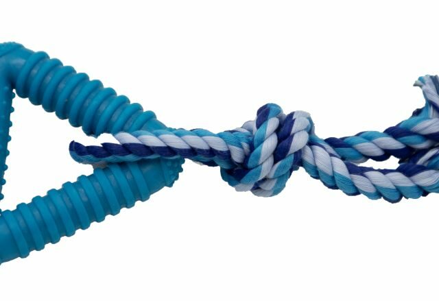 09f0cca6de9d528ab80ba74cb7d76361