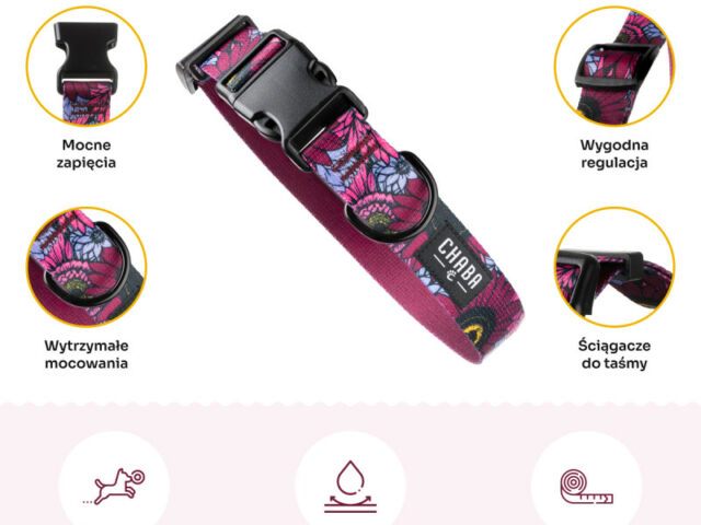 cca9096bbf536071405743520bafe54f