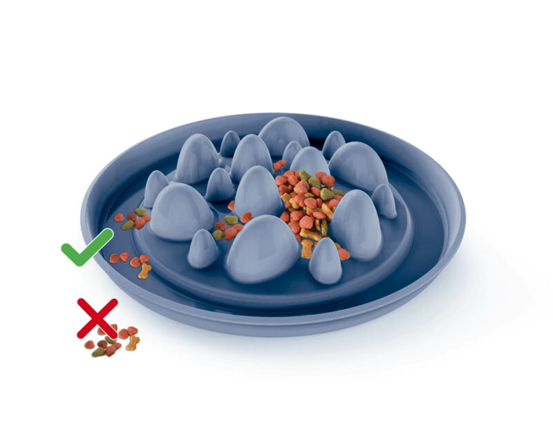 d853d2abc21b6fad8cc8a1da617d69e2