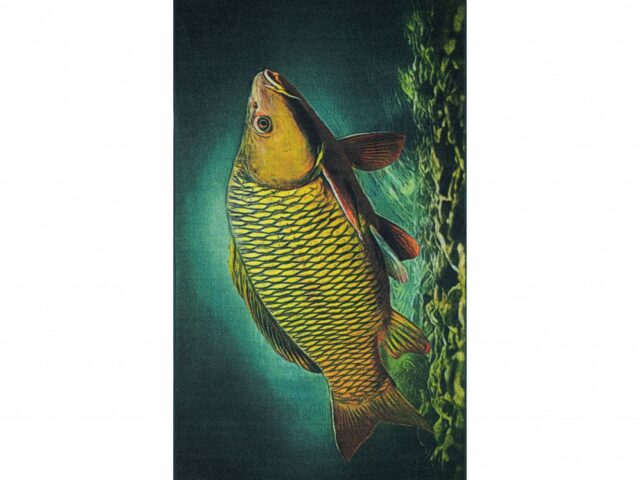 aa90b5eb2c304384de51691d338b1aad