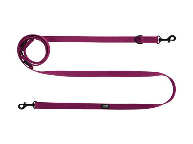 aad272dda2213d599840e1bedd53cac9