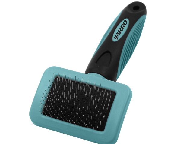 b6a1e5a41c89afb5456f3cae1367b60e