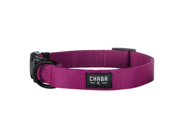 f4c2ac1fe7764dad84126b06ff283afe