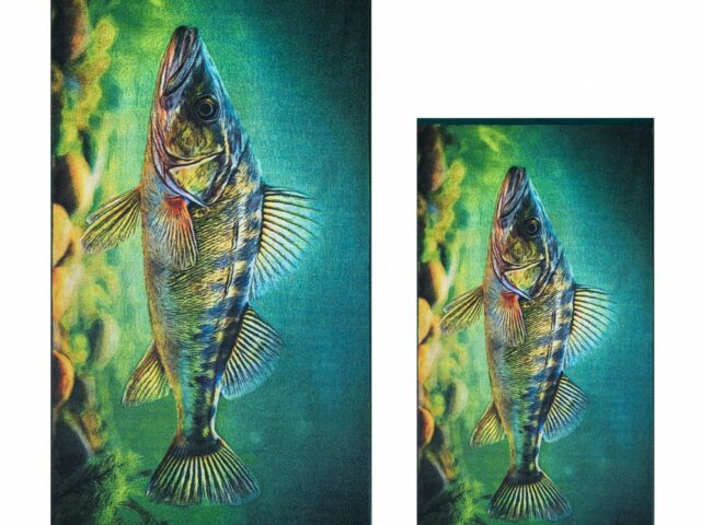 c80fd32e2e1a8709b37b13876880c285