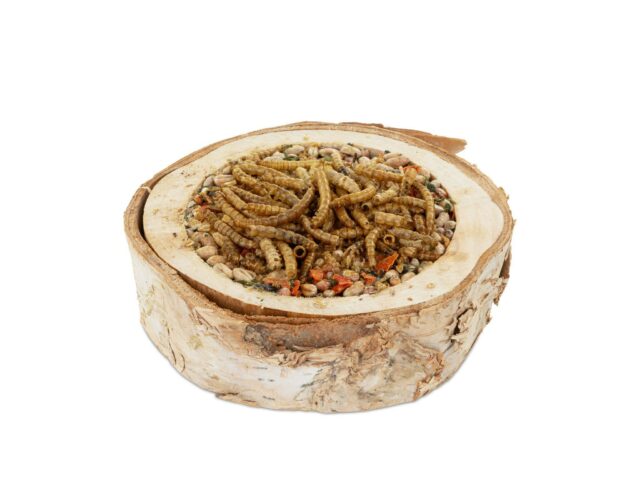 2ecfe00a6cc8818e4b6c4da446da8053