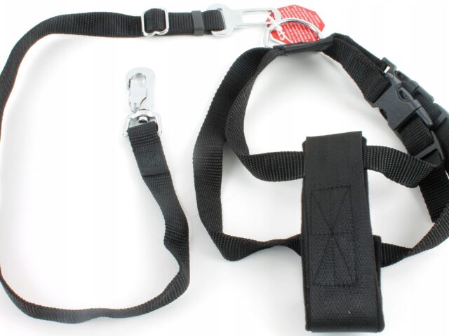 b35b81679ec76f06cb605076cba4d5dc