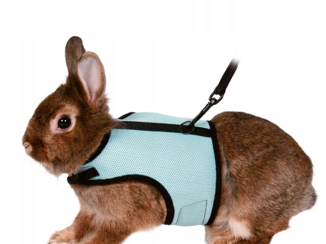 1fafcb8b02141f9b1b34bd9150b09edf