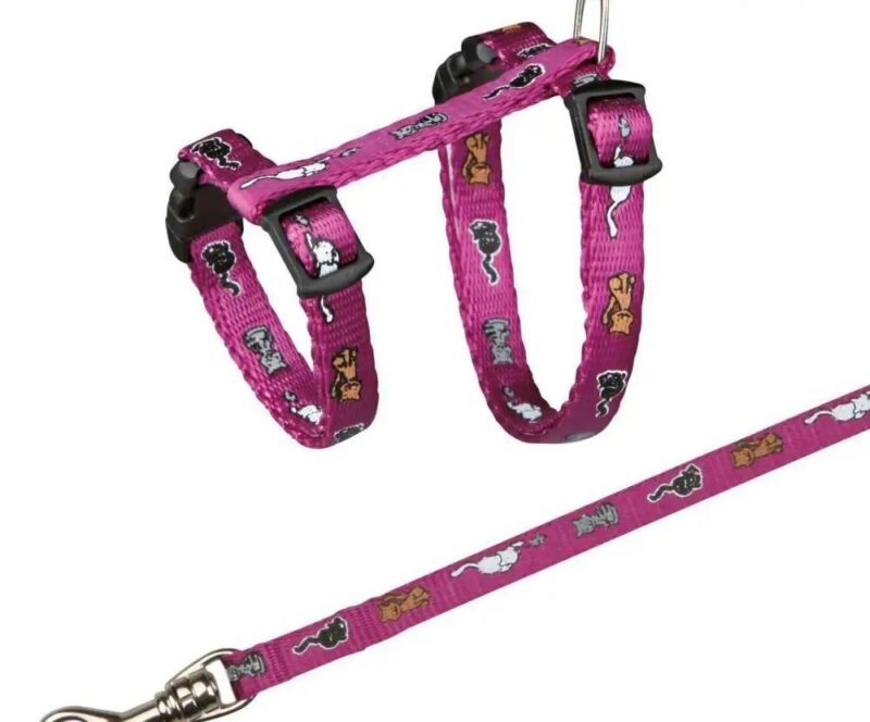 ba11345659579109817e3c604c36f77b