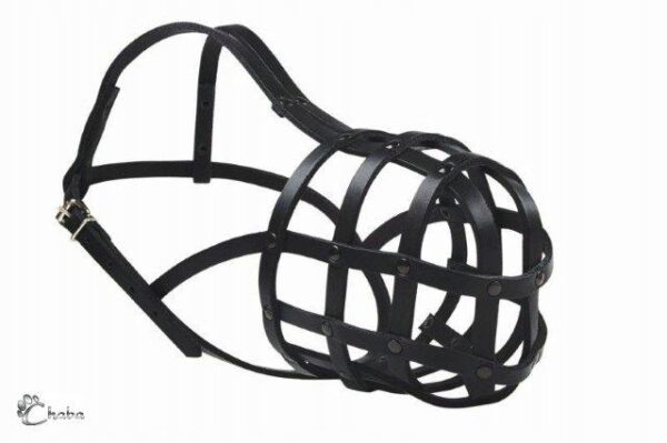 51e59640b39acf28450c3d2d2188ff01