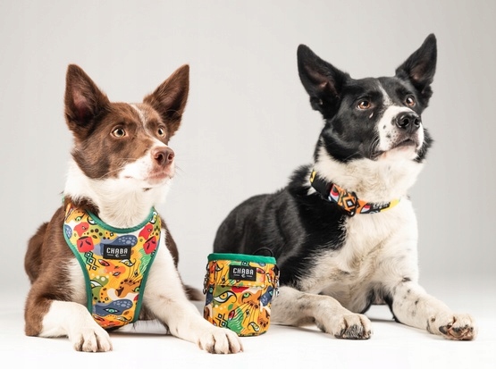 5a926219e7dc3c287f43b98e92fc84cb