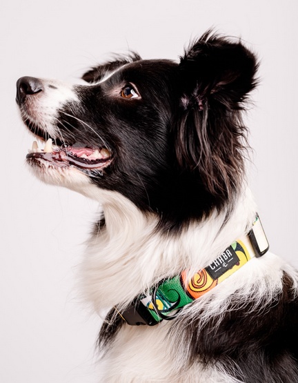 24f5e47a757dcc1b438d657da088e576