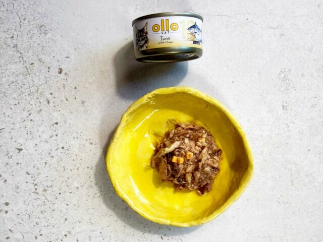 421d4d491aaeadb83d3dc4bebdb5e8cf