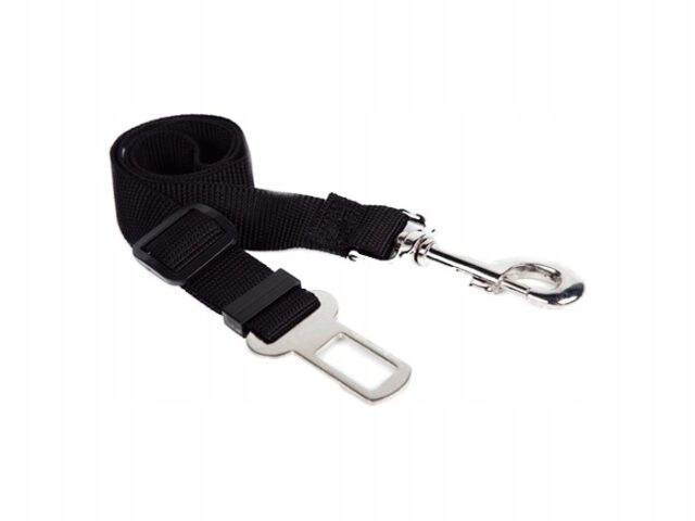 1dce102a10e663b29af90cd47f6ec3d3