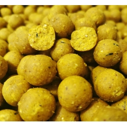 8fae2480ea04bd58c7a922f2cac8dd01