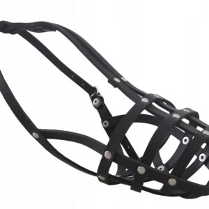 298055aa3314202618844ca3504c16f8