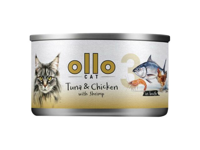 2c05e302a0833a4dc19e3a673a564f16