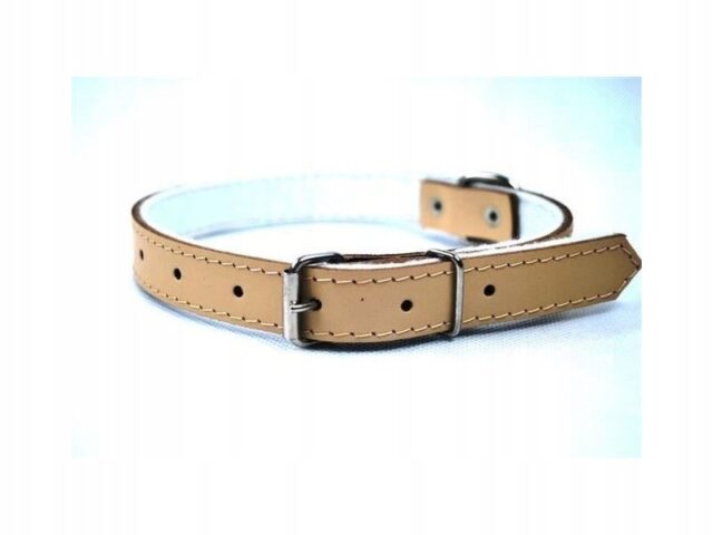 1733e688d889dab604e8525cfeef8872