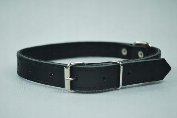 0e5cf76a72f103fa06782d0adead22ba