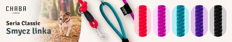 8de53590b2077839d6ddde8269ef500a