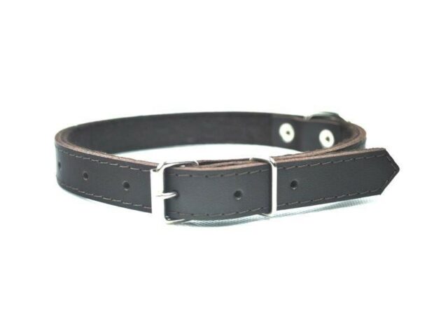 b9134b3e2baded76f3b4875f9e34438e