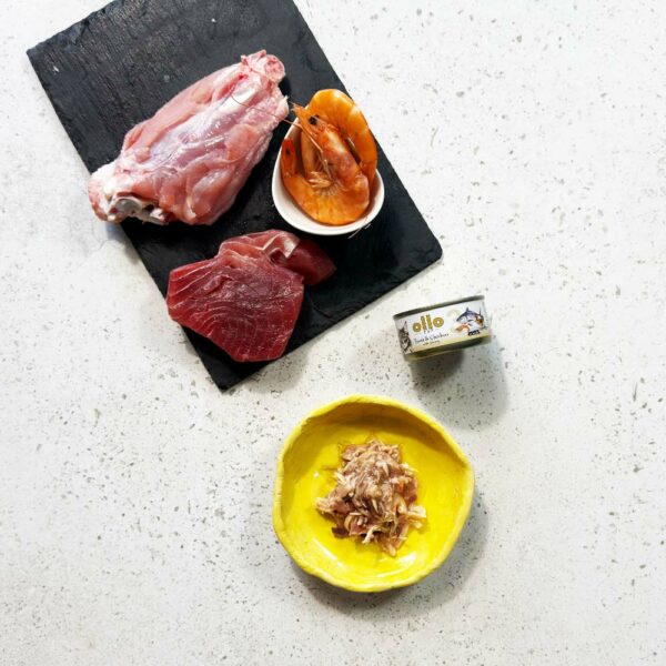 19c367311e754be0b1cc1c09b5a801ac