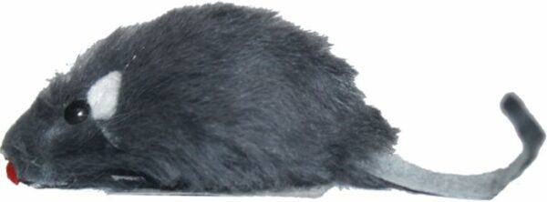 21885032bc95951641150e315fe6ce0a