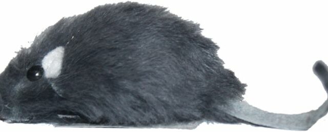 21885032bc95951641150e315fe6ce0a