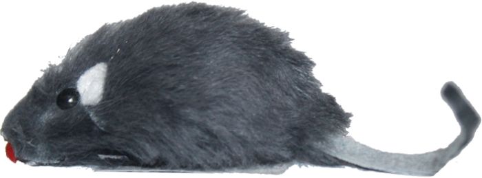 21885032bc95951641150e315fe6ce0a