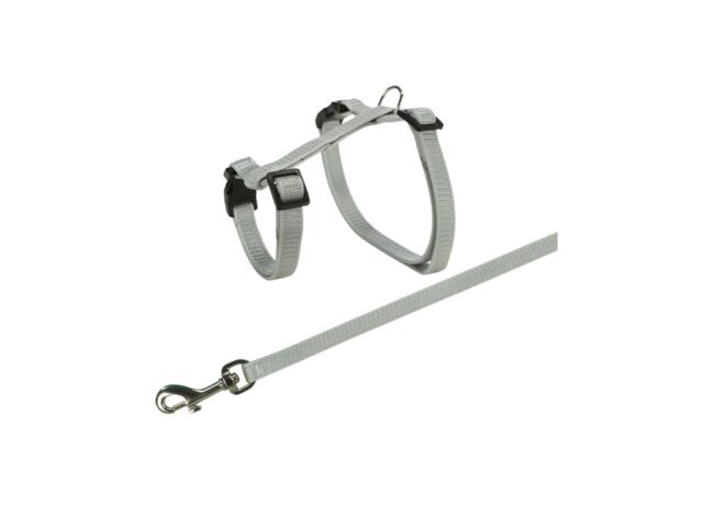 209be59e00816fbbb918761349c24a51