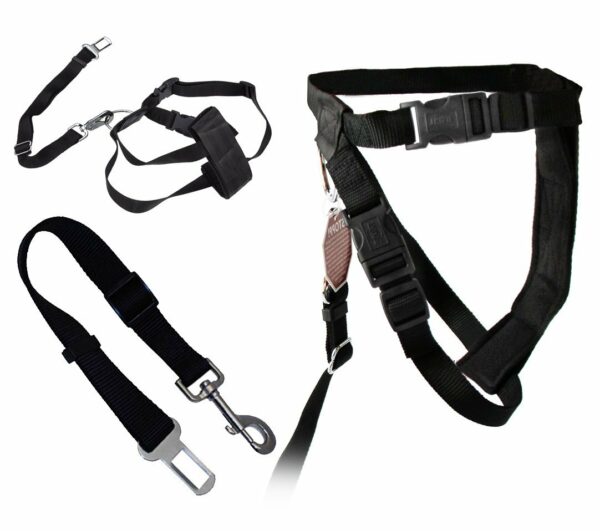 5c7d6900c7d59e4c08a0b35a8837cf87