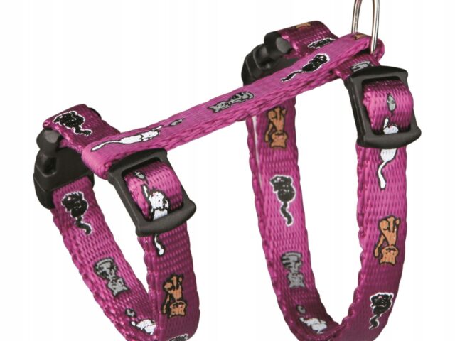 dc1ce1a9123cc42df5b6f32d59460014