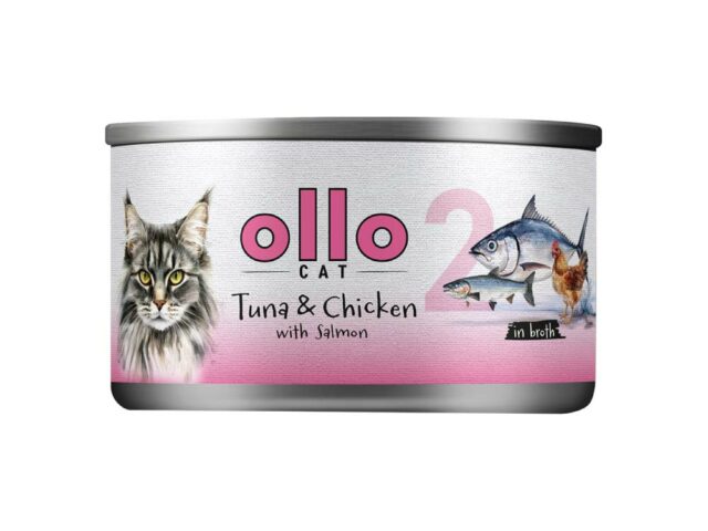 1cc0407e57950e53b446368acb10668b