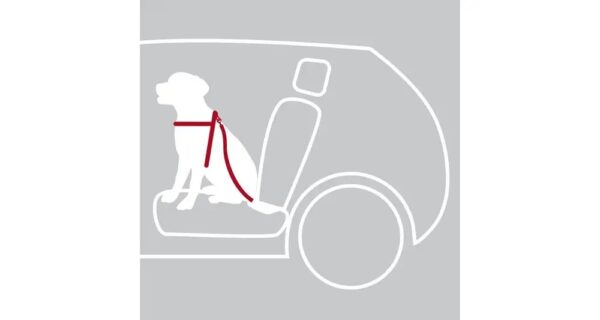 06002cdb806f922ec3d5bd9915032883