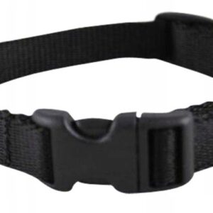 e619165d816bb17063f039c2122d9a48