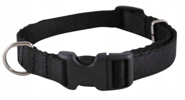 e619165d816bb17063f039c2122d9a48