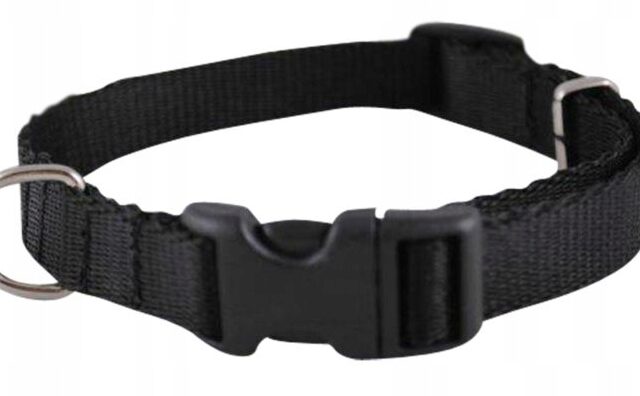 e619165d816bb17063f039c2122d9a48