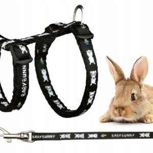 84acd2d929395c8662d2e7640ed9c4cf