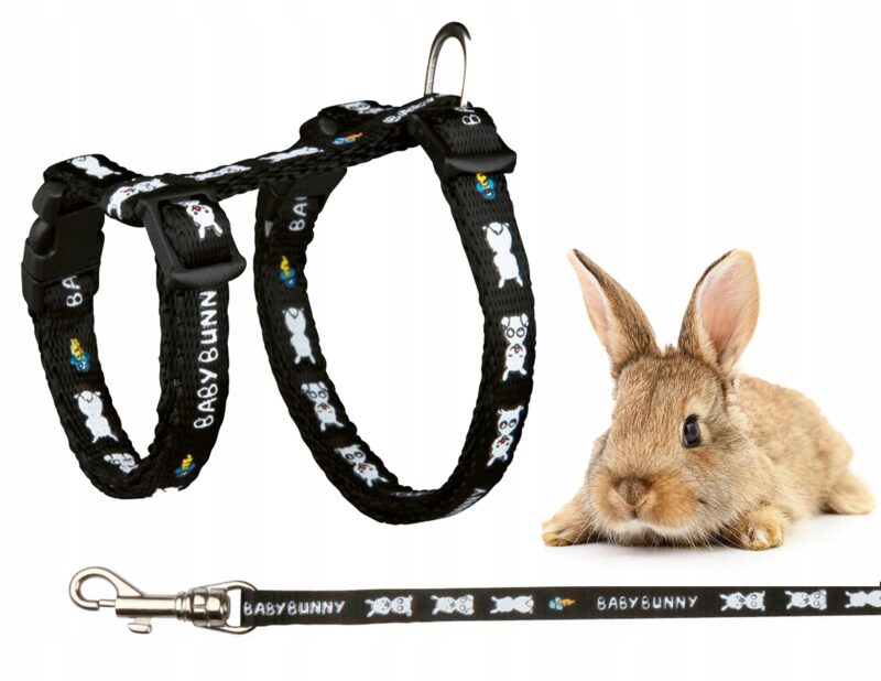 84acd2d929395c8662d2e7640ed9c4cf