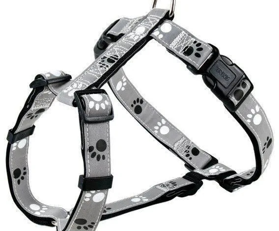 46303f11b8d8e84c06796fa764b8b353