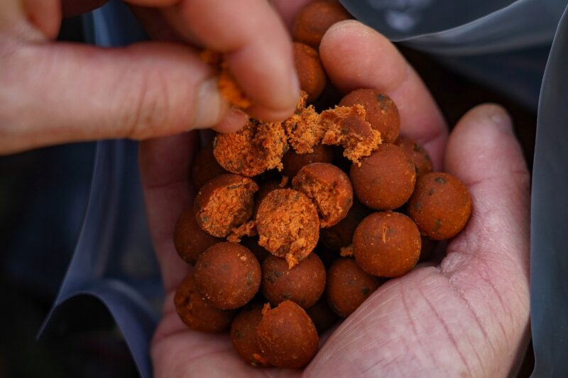 2021273eb660ed09a09f845176baa261