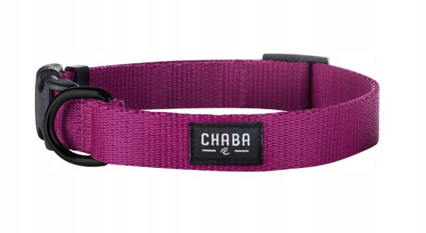 f2538586caec8a40a0f2219800320ce0