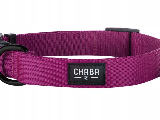 f2538586caec8a40a0f2219800320ce0