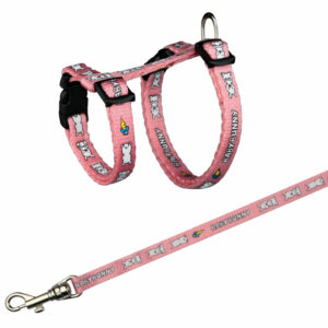 510ba4a56c6e84d2a1c69ca8b088527d