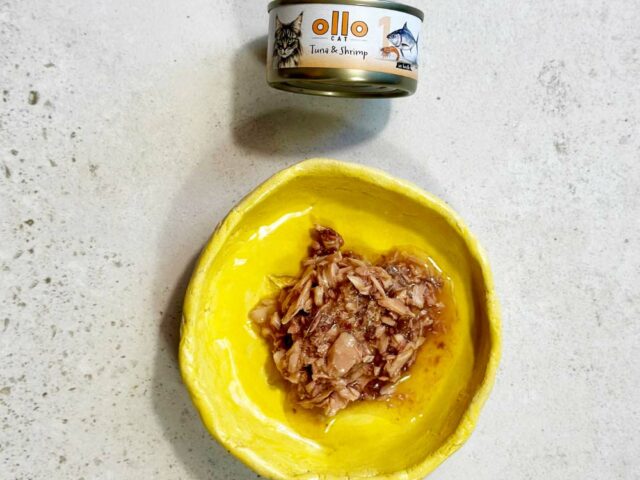 db6a521ffb6ef5de88620a299aab0cd9