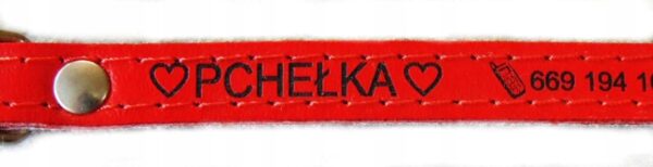 8e48758f28792eab94a0c0cb59db3d34