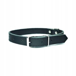 02db967d0dcddace3ef3ec55ef909ace