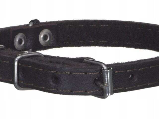 5bfafe1de0c6992c102e28e47733a5ff